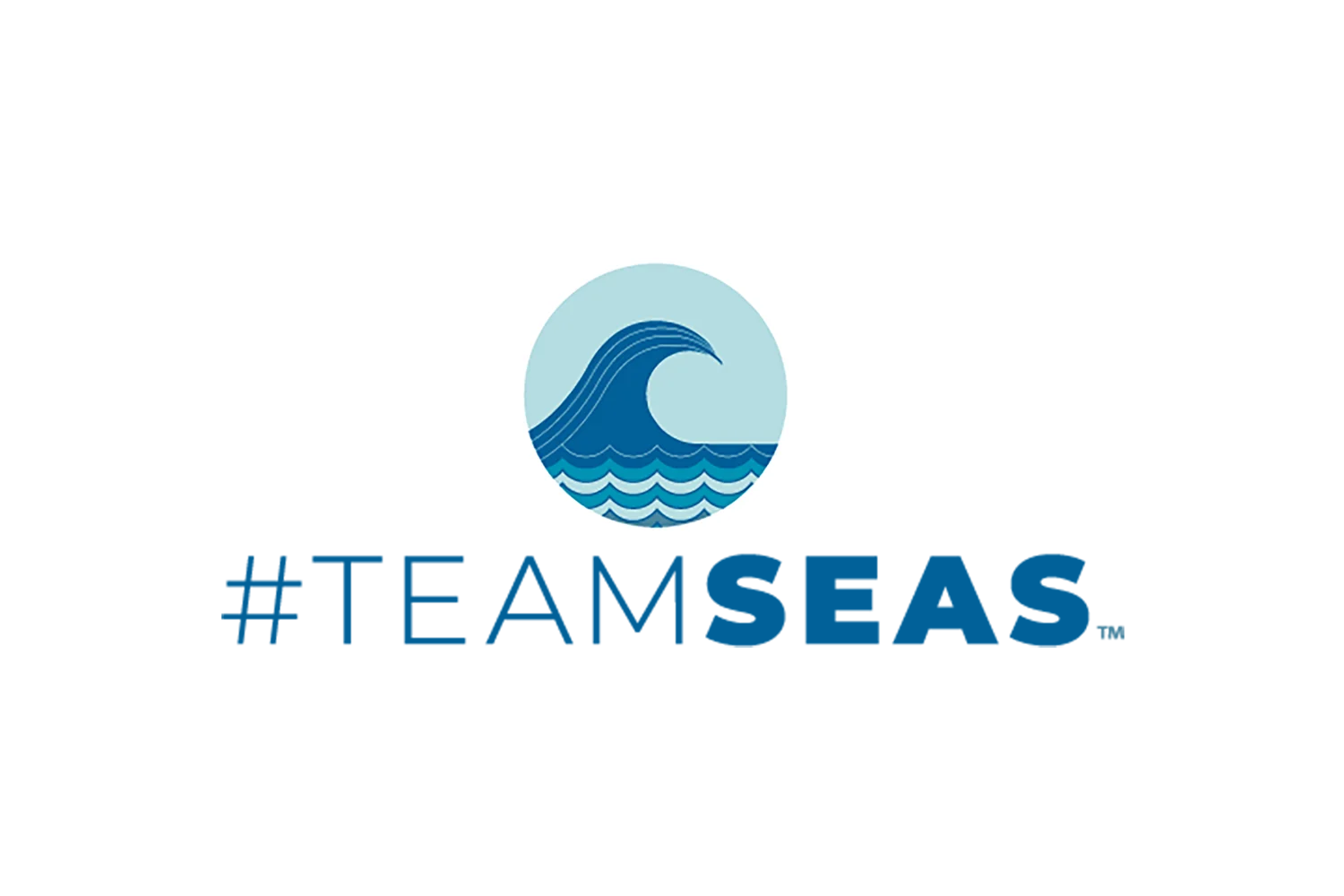 Team Seas logo